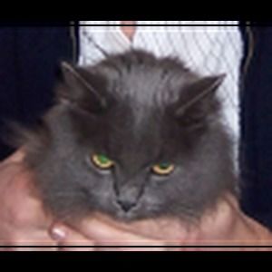 Meet your Posher, Andreea